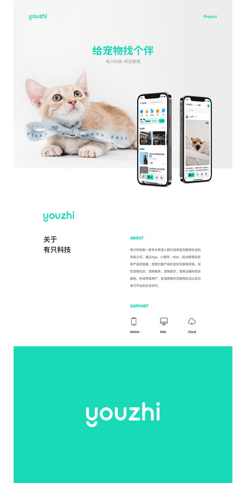 科技寵愛(ài) 陜西網(wǎng)絡(luò)技術(shù)服務(wù)的數(shù)字化創(chuàng)新實(shí)踐